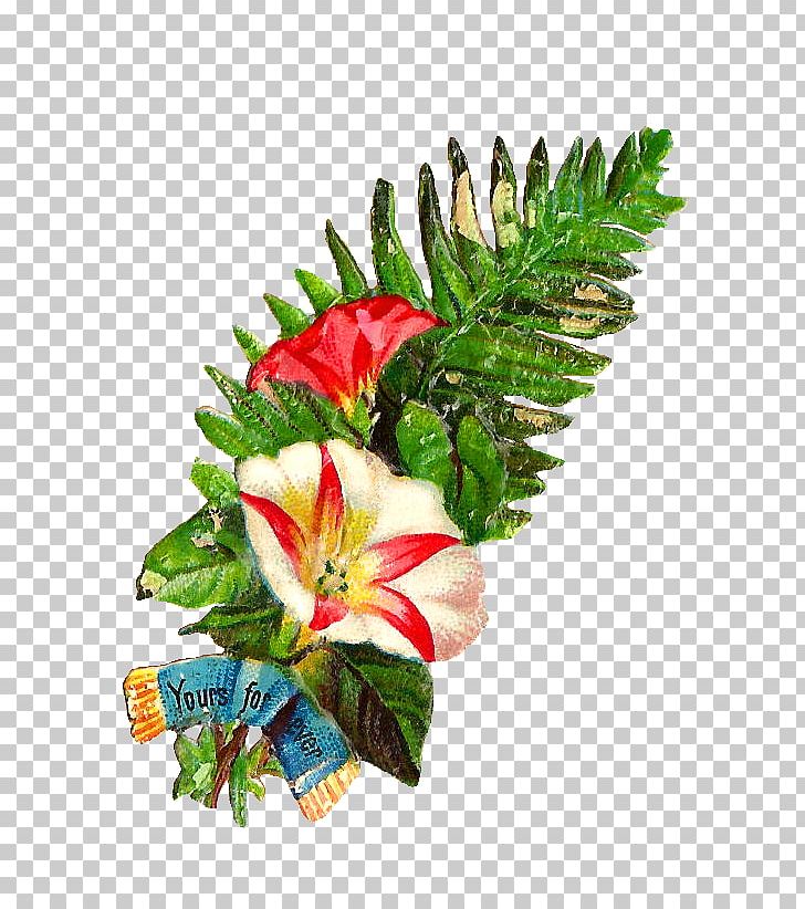 Flower Bouquet PNG, Clipart, Christmas Ornament, Color, Cut Flowers, Desktop Wallpaper, Drawing Free PNG Download