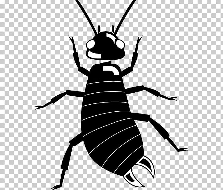 Fly Insect Ant Arthropod PNG, Clipart, Animal, Ant, Aphid, Arthropod, Artwork Free PNG Download