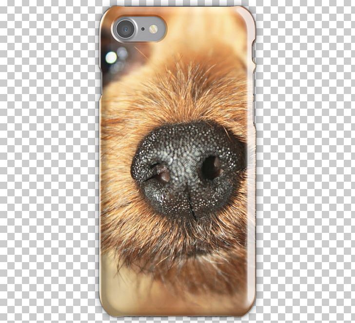 Nose Whiskers Telephone Samsung Galaxy Snout PNG, Clipart, Bag, Beaver, Closeup, Fauna, Fur Free PNG Download