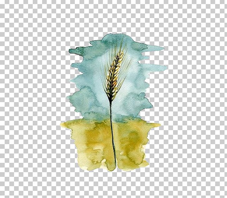 Wheat Watercolor Painting PNG, Clipart, Cereals, Designer, Download, Drawing, Encapsulated Postscript Free PNG Download