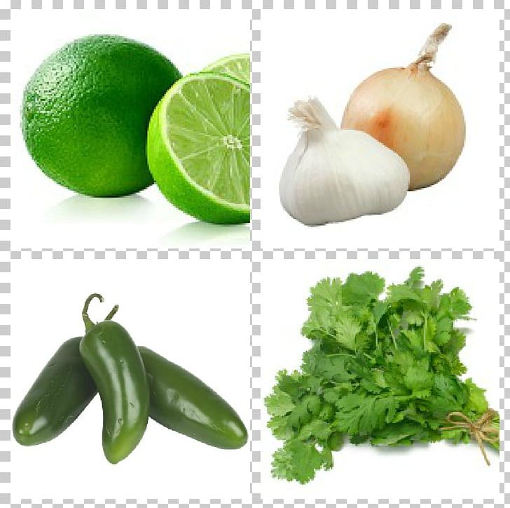 Coriander Indian Cuisine Organic Food Thai Cuisine Herb PNG, Clipart, Citrus, Common Sage, Coriander, Diet Food, Flavor Free PNG Download