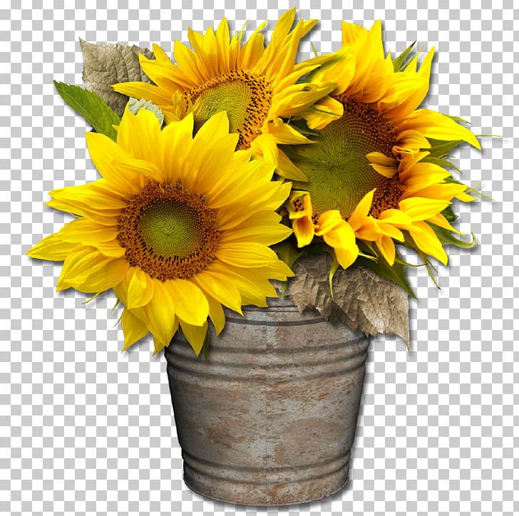 Digital Scrapbooking Common Sunflower Cut Flowers PNG, Clipart, Common Sunflower, Cut Flowers, Daisy Family, Digital Scrapbooking, Elements Free PNG Download