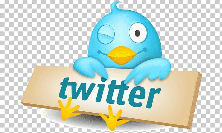Social Media Logo Twitter Animaatio PNG, Clipart, Animaatio, Beak, Bird, Brand, Flightless Bird Free PNG Download