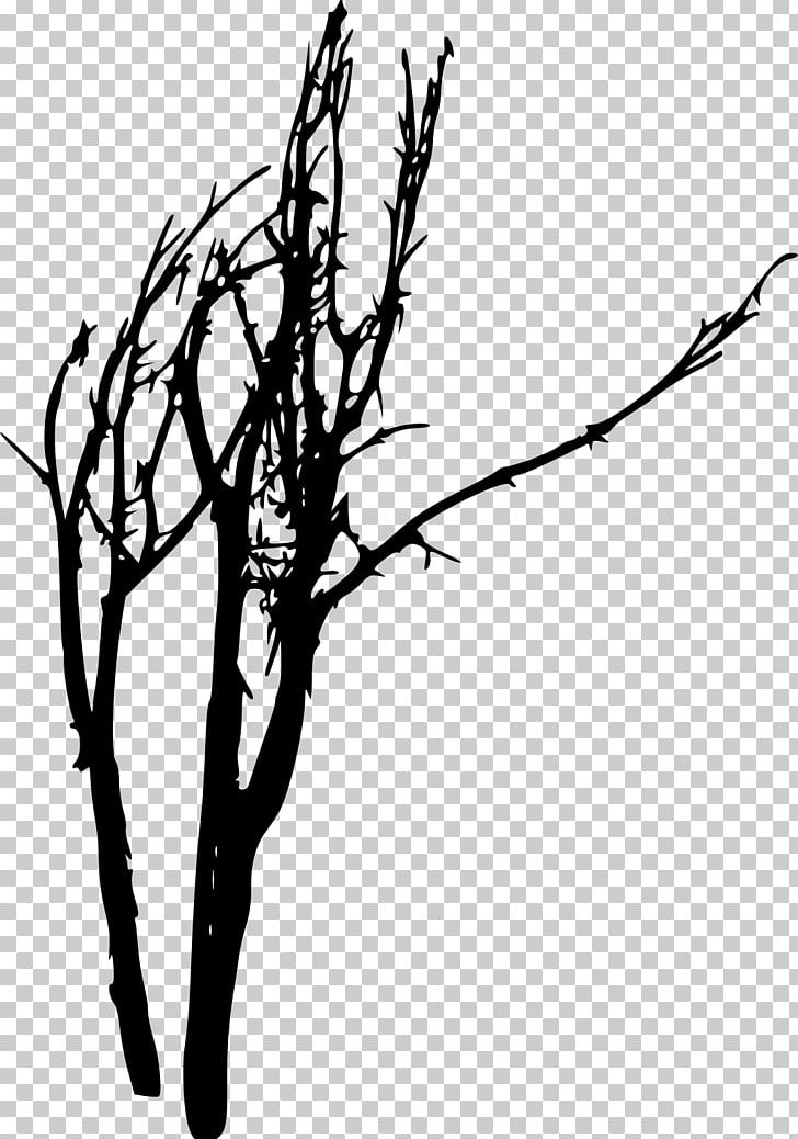 Tree Photography Woody Plant Silhouette Twig PNG, Clipart, Art, Black And White, Branch, Flora, Flower Free PNG Download