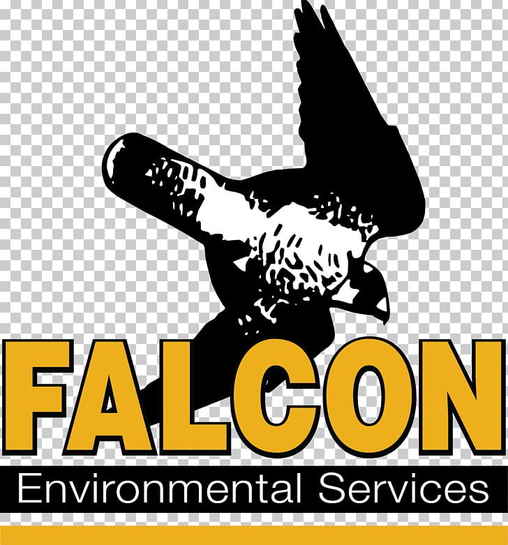 Falcon Bird Natural Environment Wing Environmental Protection PNG, Clipart, Animals, Beak, Bird, Bird Control, Bird Strike Free PNG Download