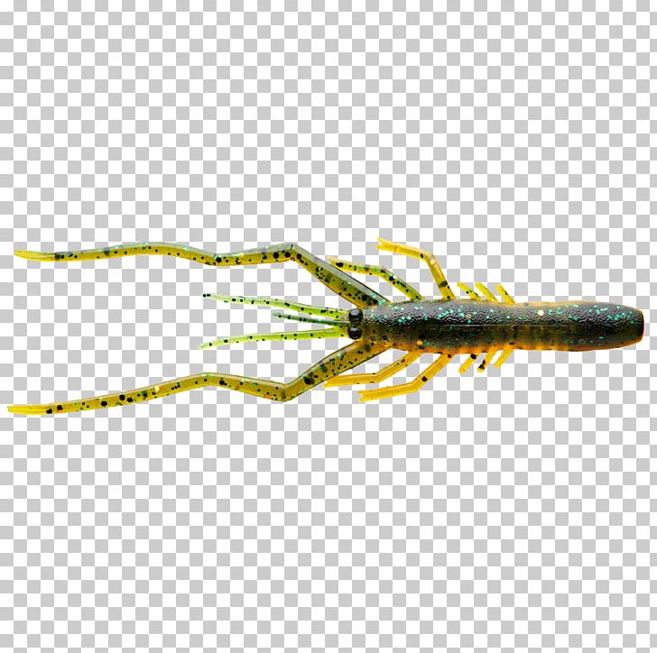 Globeride Fishing Baits & Lures Angling PNG, Clipart, Angling, Bait, Bubble, Daiwa, Fishing Free PNG Download