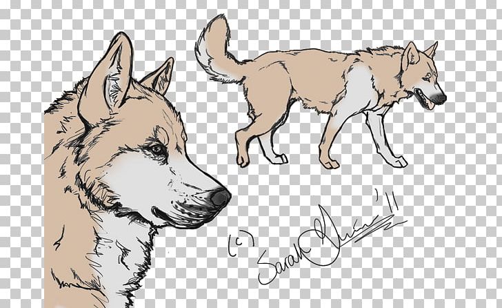 Saarloos Wolfdog Czechoslovakian Wolfdog Siberian Husky Greenland Dog Shikoku PNG, Clipart, Breed, Carnivoran, Cartoon, Coyote, Czechoslovakian Wolfdog Free PNG Download