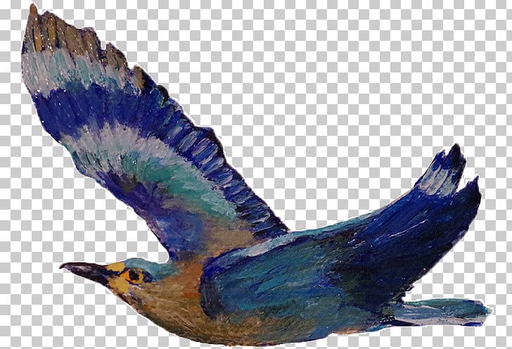 Beak Cobalt Blue Feather Eagle PNG, Clipart, Beak, Bird, Blue, Cobalt, Cobalt Blue Free PNG Download