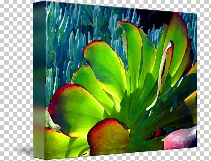 Current Gallery Painting Fine Art Succulent Plant PNG, Clipart, Acrylic Paint, Art, Art Museum, Artwork, Current Gallery Free PNG Download