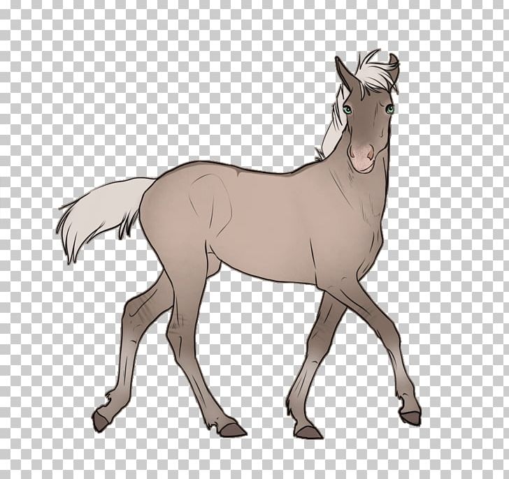 Mule Foal Stallion Colt Pony PNG, Clipart, Animal Figure, Bridle, Colt, Donkey, Dun Free PNG Download