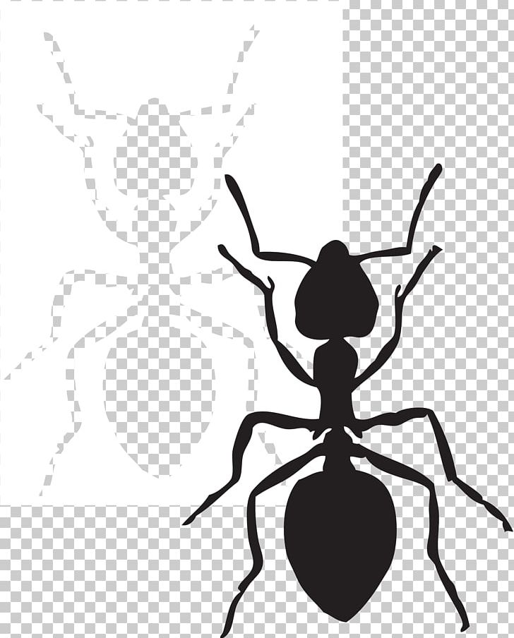 Ant Free Content Website PNG, Clipart, Ant, Arthropod, Artwork, Black And White, Black Garden Ant Free PNG Download
