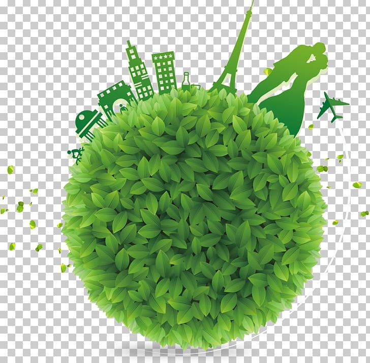 Icon PNG, Clipart, Background Green, Building, Christmas Decoration, Commodity, Company Free PNG Download