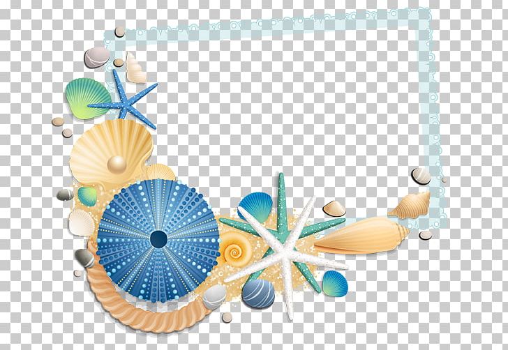 Seashell Beach PNG, Clipart, Beach, Blue, Circle, Line, Love Story Free PNG Download