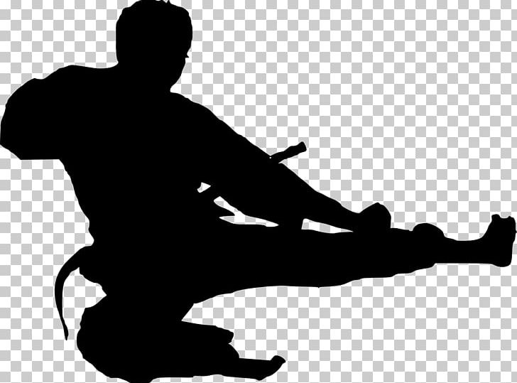 Silhouette Taekwondo PNG, Clipart, Black, Black And White, Clip Art, Digital Media, Hand Free PNG Download