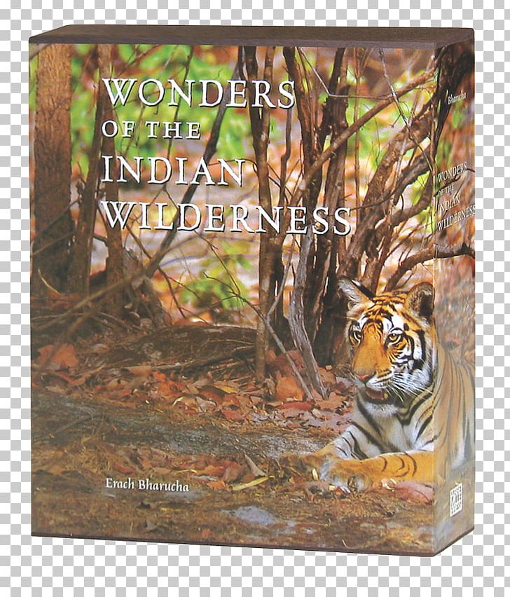 Tiger Wonders Of The Indian Wilderness Cat Fauna Frames PNG, Clipart, Animals, Big Cat, Big Cats, Book, Carnivoran Free PNG Download