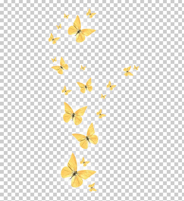 Butterfly PNG, Clipart, Angle, Branch, Decorative, Encapsulated Postscript, Flower Free PNG Download