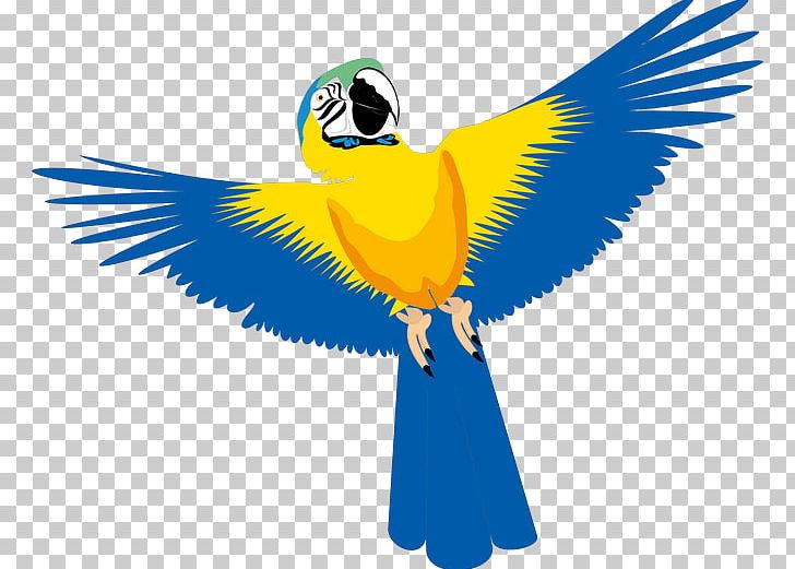 Common Myna Bird PNG, Clipart, Animals, Beak, Bird, Common Myna, Common Pet Parakeet Free PNG Download