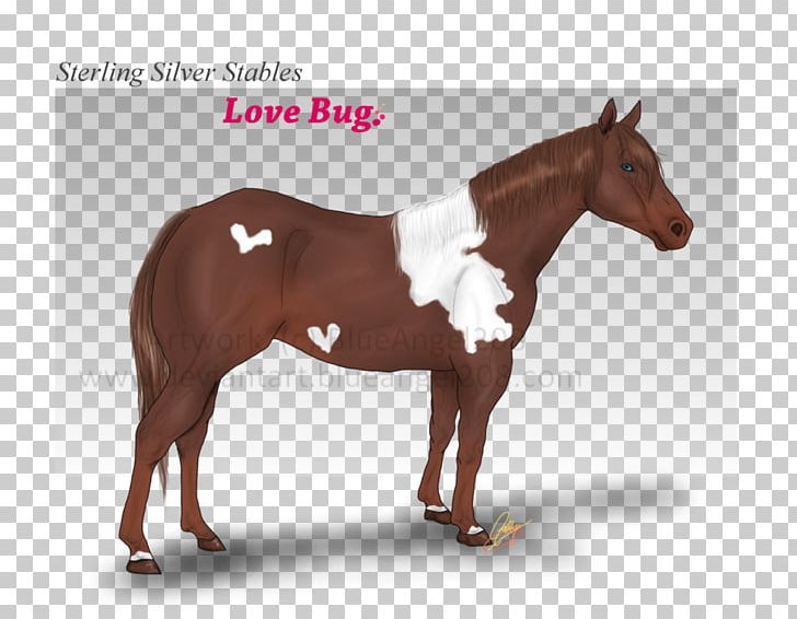 Stallion Mustang Halter Mare Pony PNG, Clipart, Bit, Bridle, Halter, Horse, Horse Harness Free PNG Download