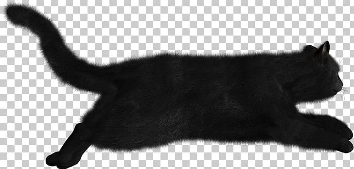 Black Cat PNG, Clipart, Animals, Black, Black And White, Black Cat, Carnivoran Free PNG Download