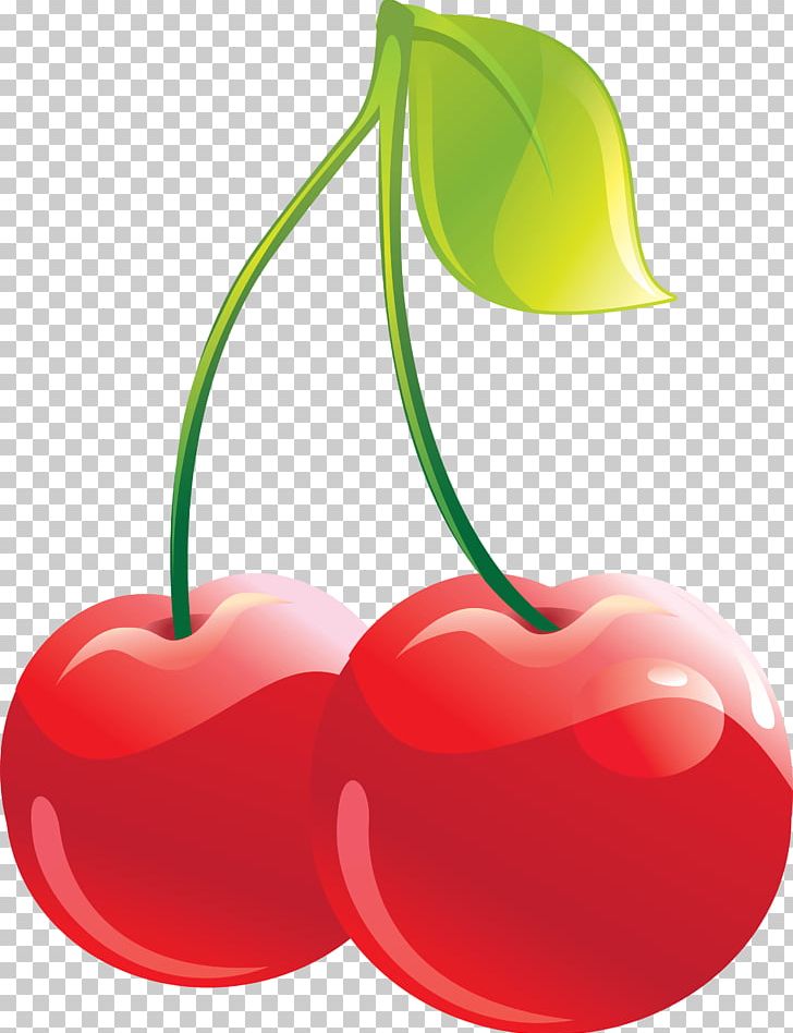 Chocolate-covered Cherry Fruit PNG, Clipart, Apple, Bestrong, Black Cherry, Blog, Canon Free PNG Download