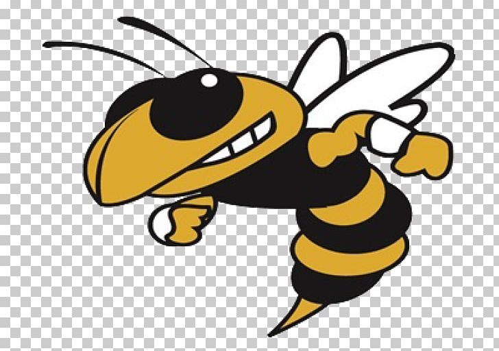 Georgia Tech Yellow Jackets Football Georgia Institute Of Technology Georgia Tech Yellow Jackets Men's Track And Field Yellowjacket PNG, Clipart,  Free PNG Download