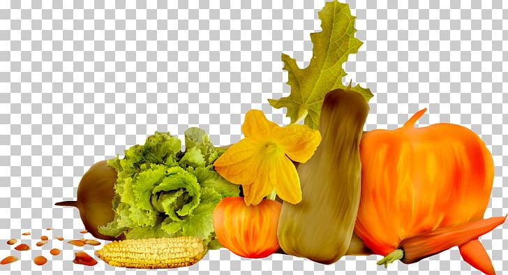 Gourd Winter Squash Vegetable Pumpkin Zucchini PNG, Clipart, Calabaza, Chat, Cucumber Gourd And Melon Family, Cucurbita, Cucurbita Maxima Free PNG Download