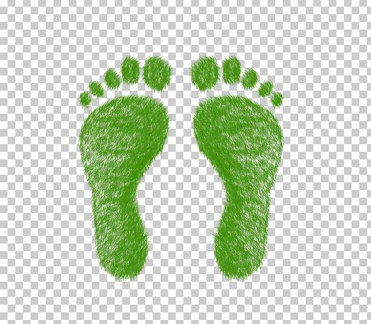 Carbon Footprint Ecological Footprint Graphics PNG, Clipart, Carbon Dioxide, Carbon Footprint, Ecological Footprint, Ecology, Foot Free PNG Download