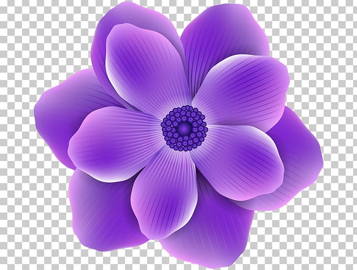 Flower Purple Rose PNG, Clipart, Clip Art, Color, Cut Flowers, Desktop Wallpaper, Flower Free PNG Download