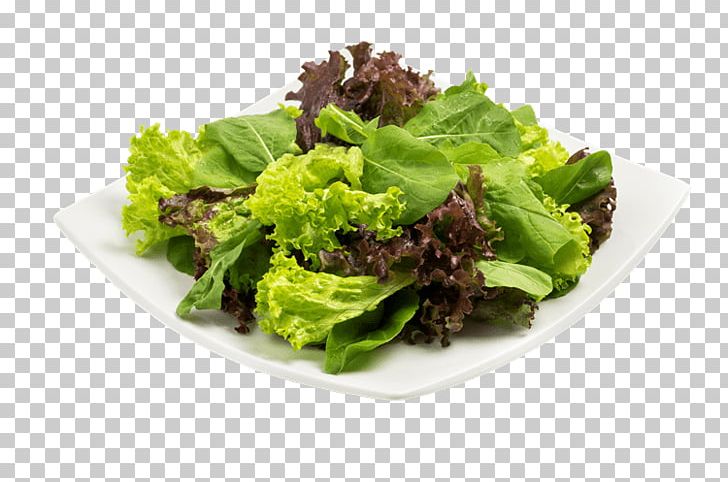 Romaine Lettuce Caesar Salad Vegetarian Cuisine Bauru PNG, Clipart, Bauru, Bife, Bread, Caesar Salad, Cheese Free PNG Download