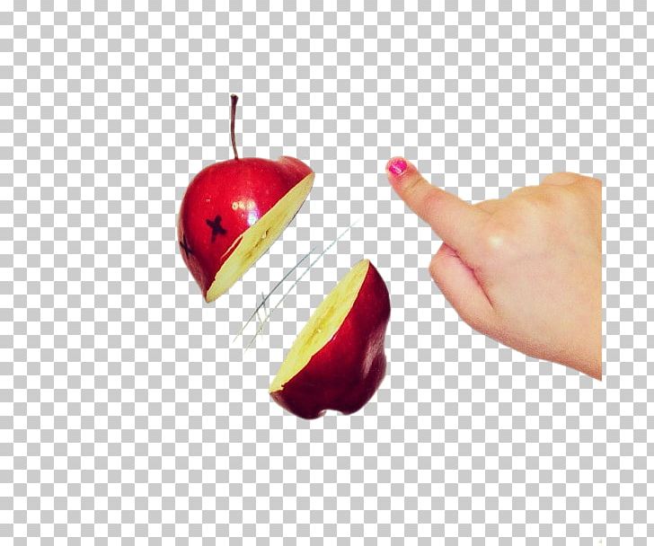 Creativity Illustrator Drawing Work Of Art Illustration PNG, Clipart, Apple, Apple Fruit, Apple Logo, Apples, Apple Tree Free PNG Download
