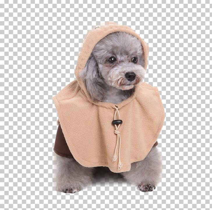 Ewok Dog Breed Leia Organa BB-8 PNG, Clipart, Bb8, Clothing, Companion Dog, Costume, Dog Free PNG Download