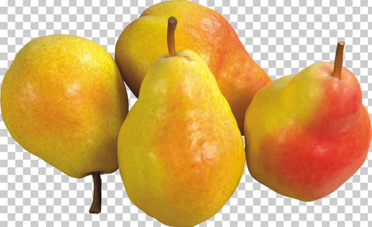 Pear Fruit PNG, Clipart, Accessory Fruit, Amygdaloideae, Apple, Computer Icons, Diet Food Free PNG Download