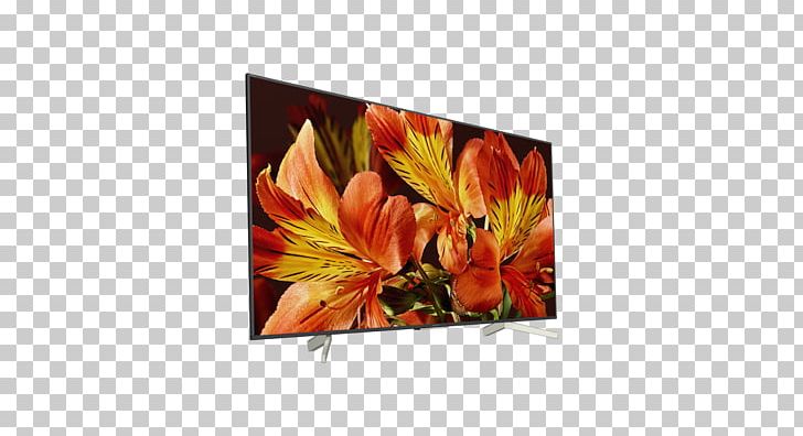 Sony XF8505 Sony X85F Smart TV 4K Resolution LED-backlit LCD PNG, Clipart, 4k Resolution, Bravia, Cut Flowers, Floral Design, Flower Free PNG Download