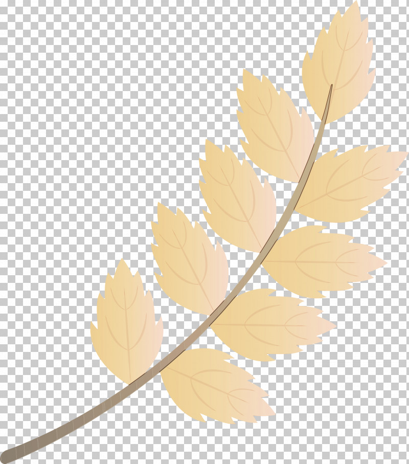 Twig Leaf Plant Stem Petal PNG, Clipart, Autumn, Autumn Leaf, Black, Black And White, Fall Leaf Free PNG Download