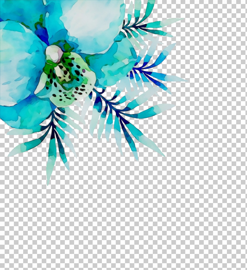 Aqua Turquoise Plant Flower Turquoise PNG, Clipart, Aqua, Flower, Paint, Plant, Turquoise Free PNG Download