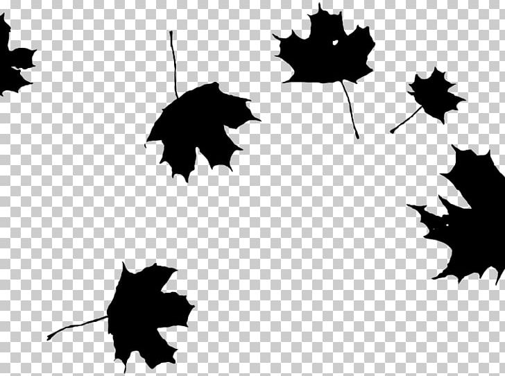 Autumn Leaf Color Maple Leaf PNG, Clipart, Autumn Leaf Color, Black, Black And White, Branch, Computer Wallpaper Free PNG Download