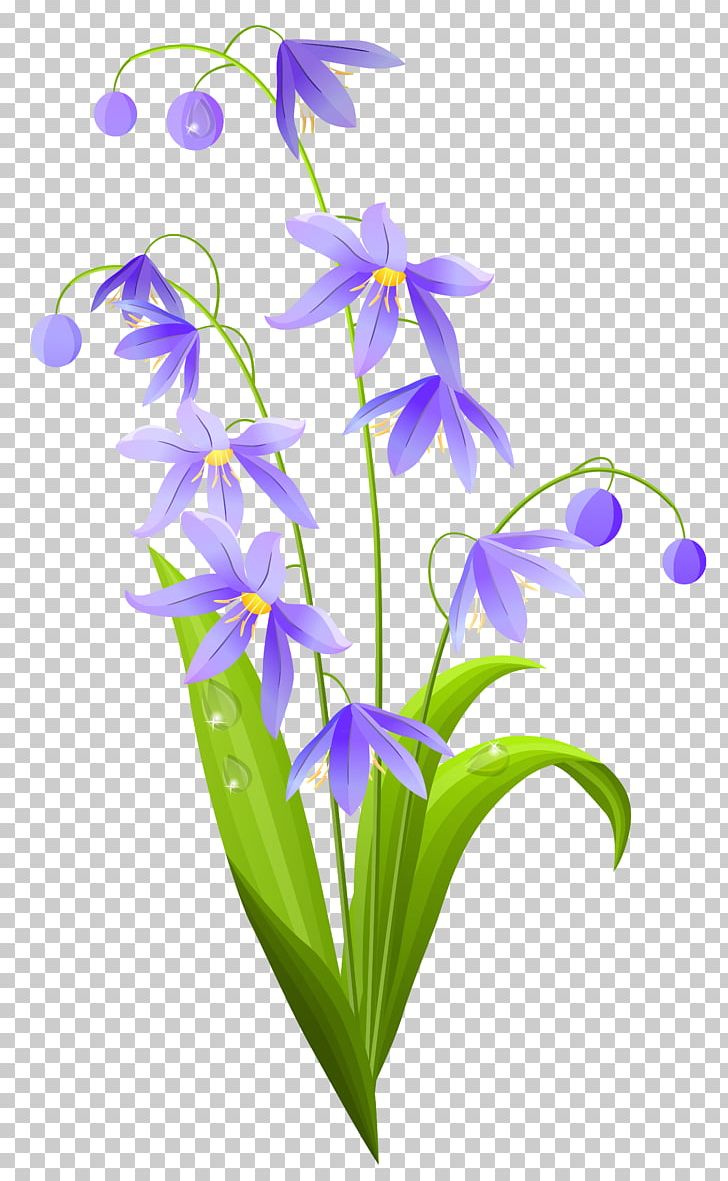 Flower Euclidean Lilium PNG, Clipart, Bellflower Family, Branch, Clipart, Clip Art, Color Free PNG Download