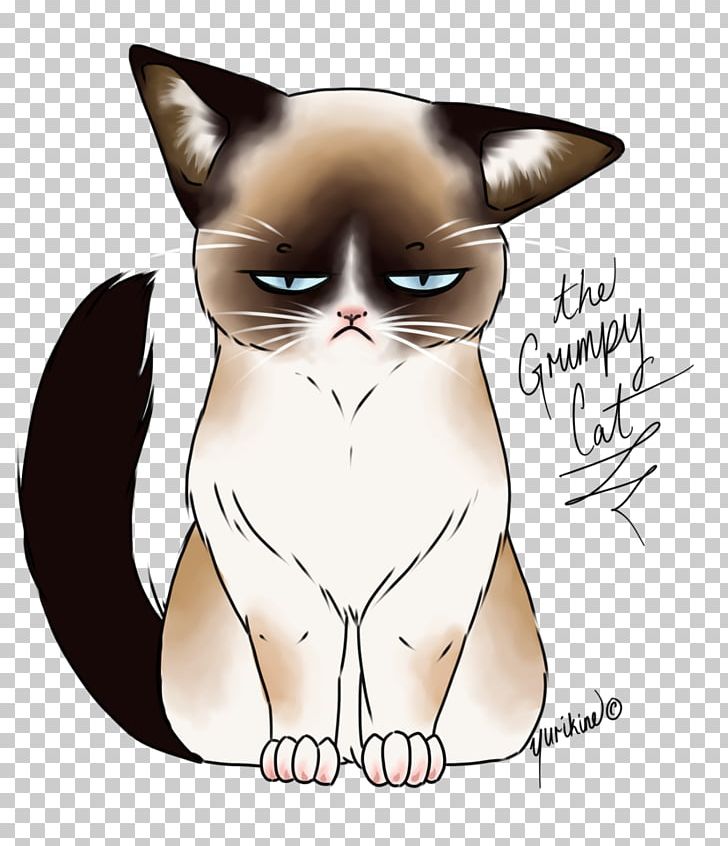 Grumpy Cat Mug Drawing T-shirt PNG, Clipart, Animals, Art, Carnivoran, Cartoon, Cat Free PNG Download