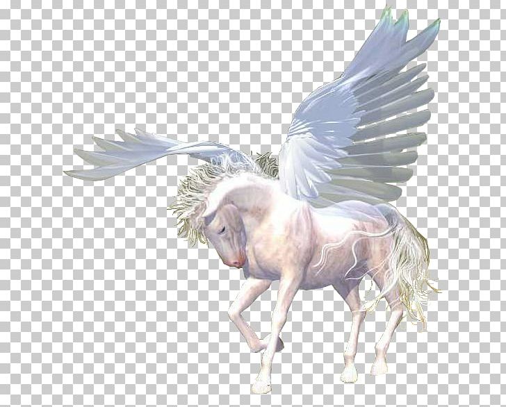 Horse Blog Unicorn Marabout PNG, Clipart, Angel, Animaatio, Animals, At Resimleri, Avatar Free PNG Download