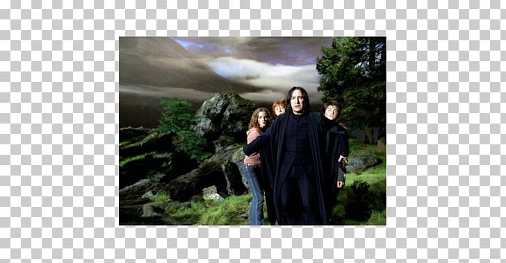 Professor Severus Snape Harry Potter And The Prisoner Of Azkaban Hermione Granger Ron Weasley PNG, Clipart,  Free PNG Download