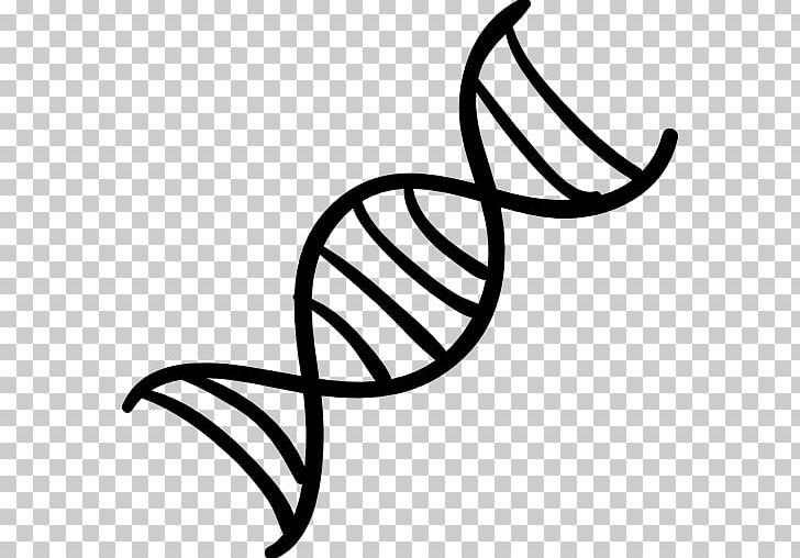 The Double Helix: A Personal Account Of The Discovery Of The Structure Of DNA Nucleic Acid Double Helix Computer Icons Genetics PNG, Clipart, Artwork, Black, Desktop Wallpaper, Dna, Genetic Free PNG Download