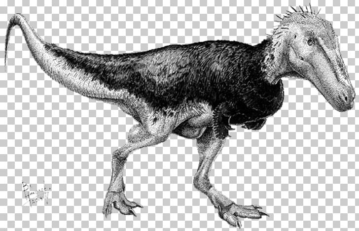 Tyrannosaurus Alioramus Teratophoneus Nanotyrannus Dinosaur PNG, Clipart, Altai, Animal, Art, Black And White, Deviantart Free PNG Download