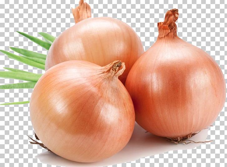 Yellow Onion PNG, Clipart, Cartoon Vegetables, Computer Icons, Dinnertime, Fats, Fit4life Free PNG Download