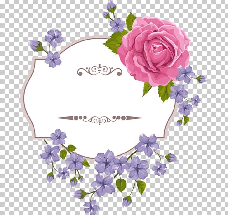 Floral Design Flower Frames PNG, Clipart, Blossom, Clip, Cut Flowers, Ferrari Border, Flora Free PNG Download