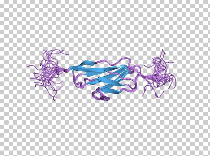Obscurin Protein Titin Sarcomere Gene PNG, Clipart, Art, Cell Signaling, Domain, Ebi, Fictional Character Free PNG Download