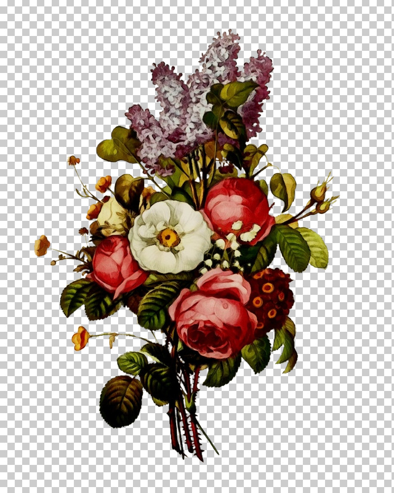 Rose PNG, Clipart, Bouquet, Branch, Bud, Cut Flowers, Flower Free PNG Download