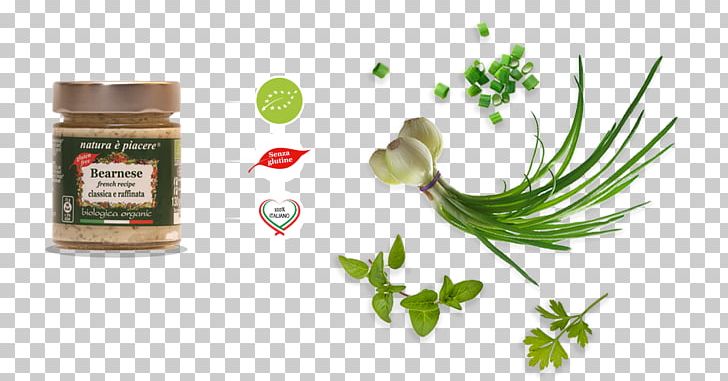 Herbalism Alternative Health Services Medicine Food PNG, Clipart, Alternative Health Services, Food, Herb, Herbal, Herbalism Free PNG Download