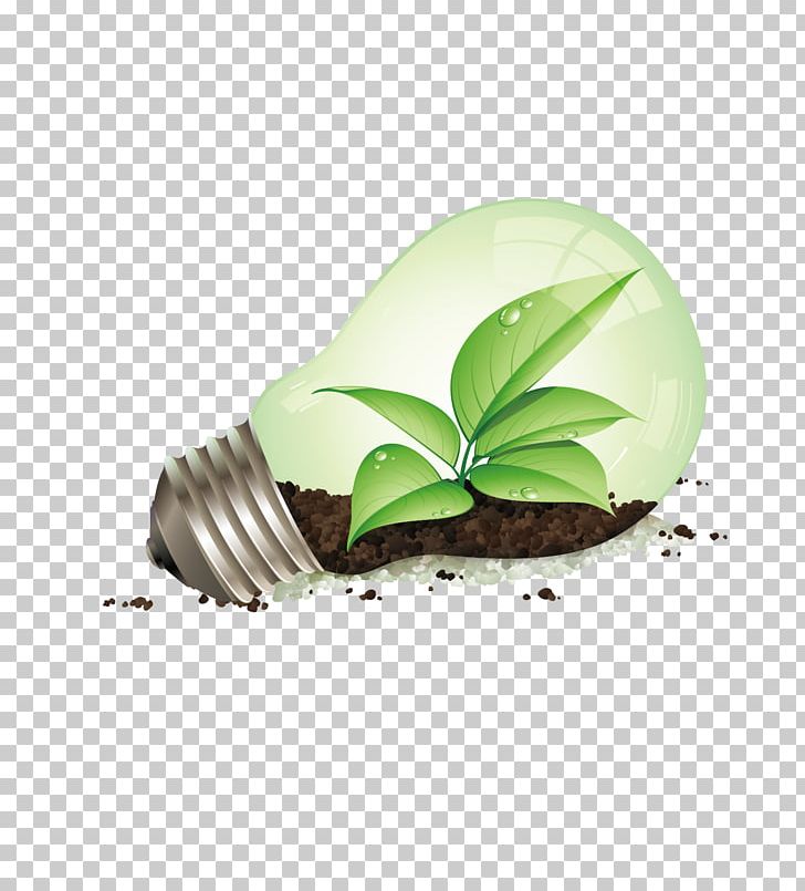 Incandescent Light Bulb Energy Conservation Efficient Energy Use Energy Saving Lamp PNG, Clipart, Bulbs, Computer Wallpaper, Electricity, Electric Light, Energy Star Free PNG Download