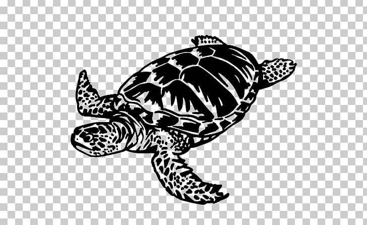 Loggerhead Sea Turtle Terrapene Home's Hinge-back Tortoise PNG, Clipart, Animal, Animals, Black And White, Box Turtle, Emydidae Free PNG Download