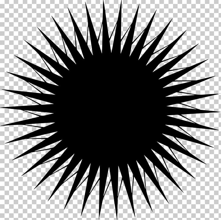 Star Clock Photography PNG, Clipart, Angle, Black, Black And White, Circle, Closeup Free PNG Download